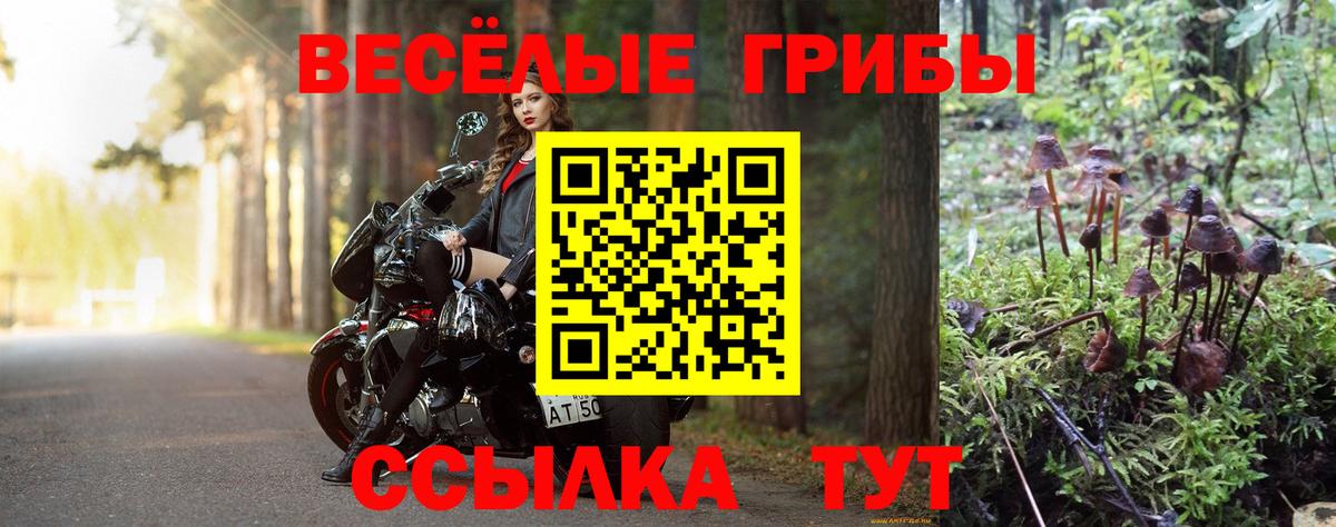 Псилоцибиновые грибы прущие грибы Янаул